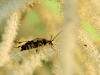 2009_06_251_dxo_raw.jpg