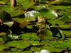 2009_06_276_dxo_raw.jpg